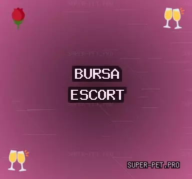 Bursa Escort: Orhangazi Escort, Harmancık Escort, Kestel Escort