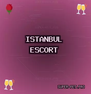İstanbul Escort: Beykoz Escort, Bahçelievler Escort, Küçükçekmece Escort