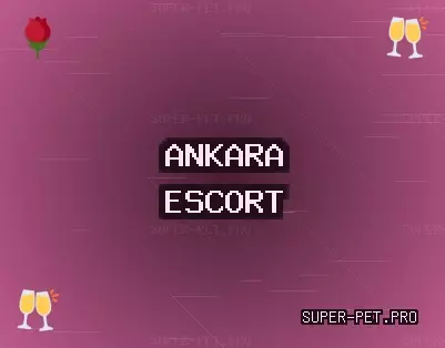 Ankara Escort: Çubuk Escort, Haymana Escort, Kahramankazan Escort